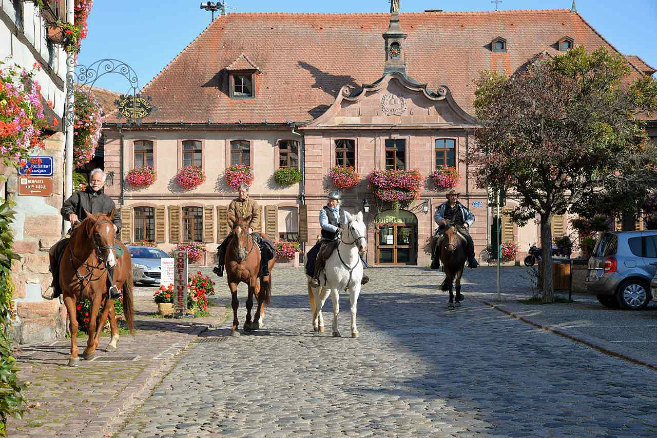 Bergheim
